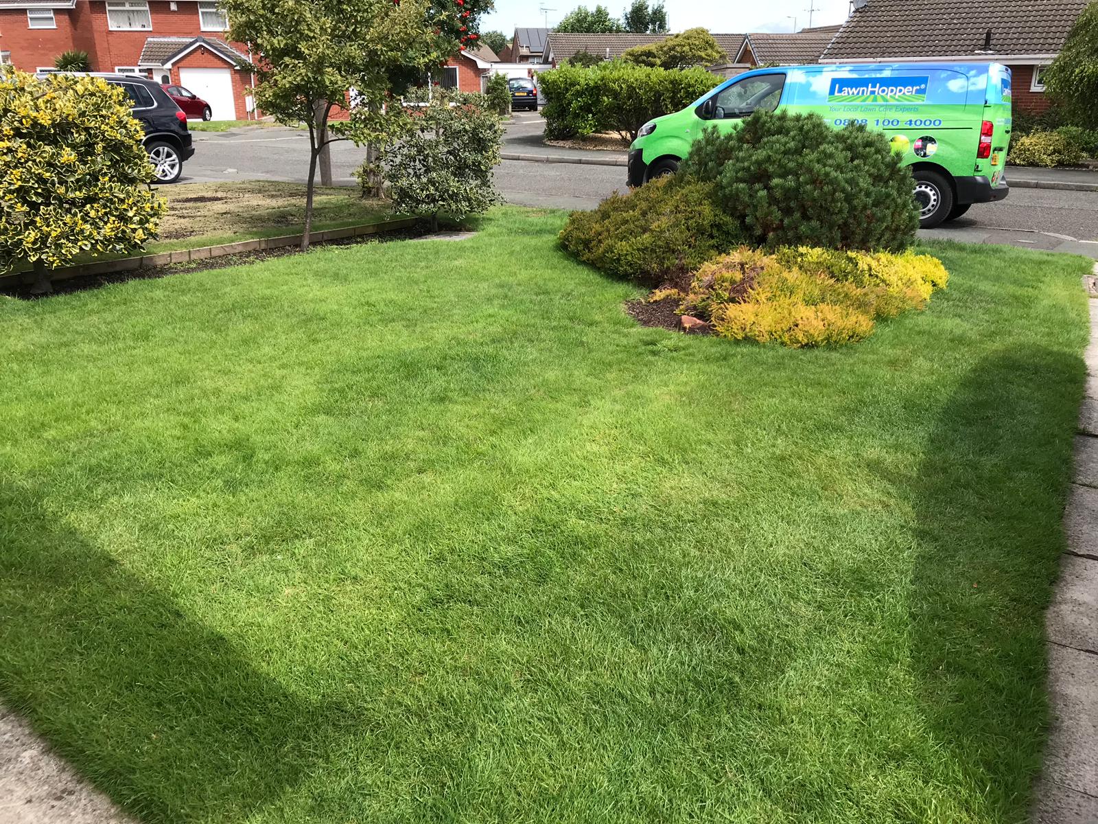 Lawn Treatment West Sussex, Tunbridge Wells, Sevenoaks & Kent