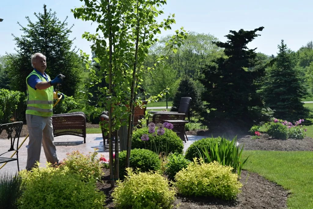 How to Fertilize Large Trees with Deep Root Feeding LawnMatters