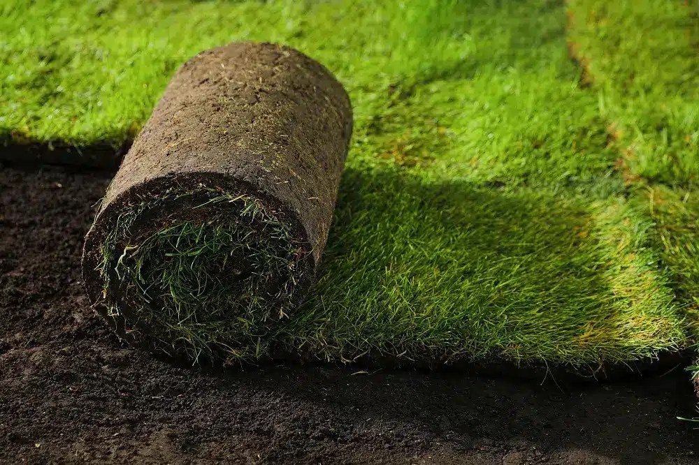 Does Artificial Grass Add Value to Your Home? Lawnpop