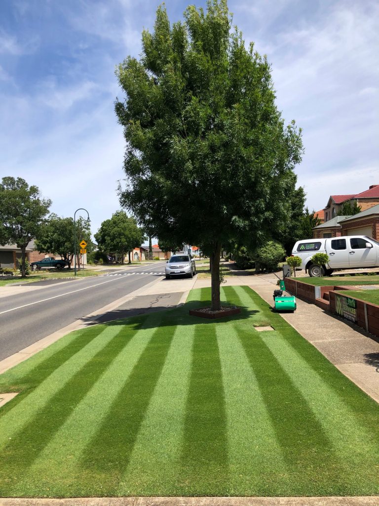 Gallery Lawn Rules Australia