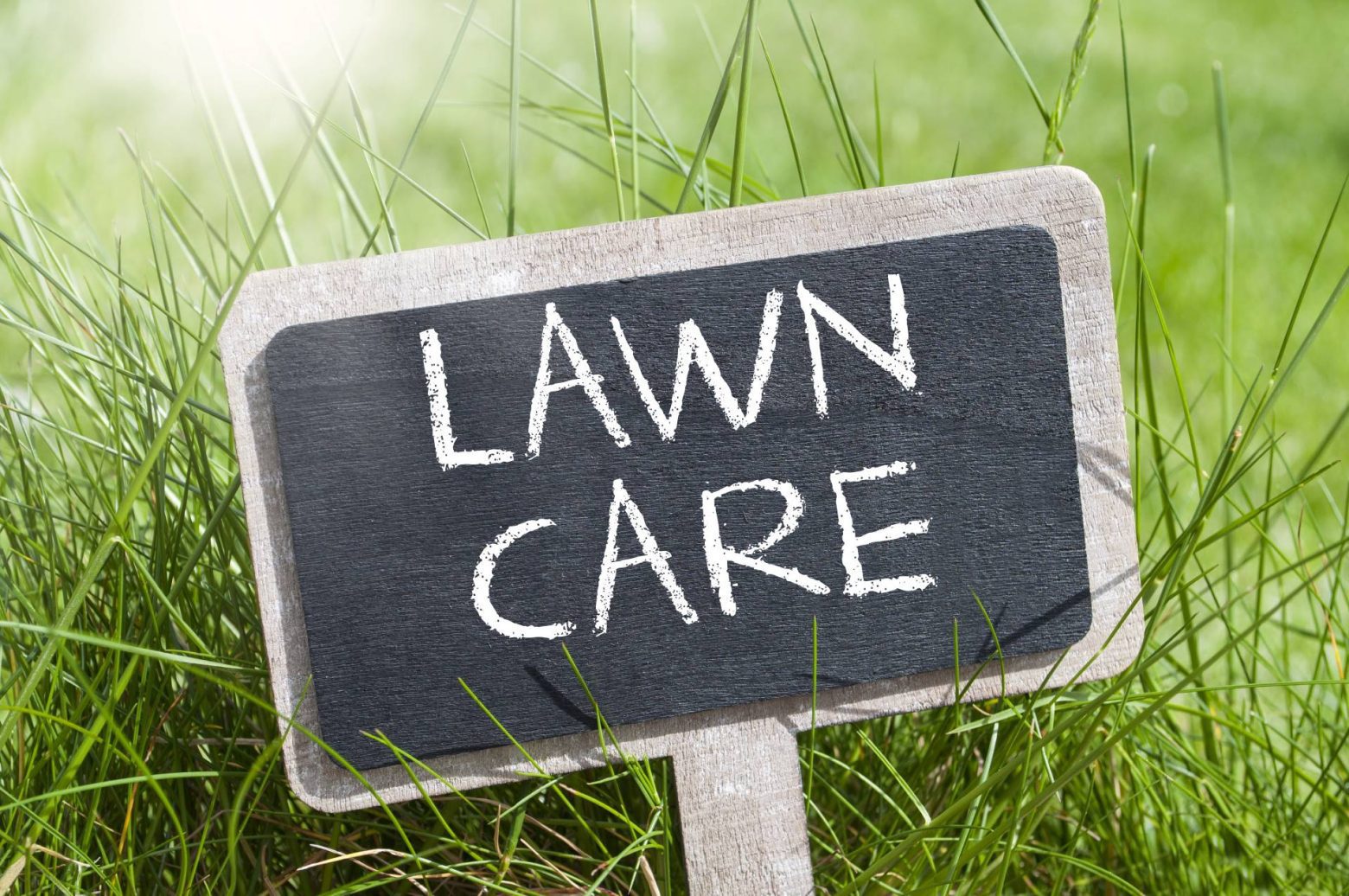 Lawn Fertilisers Lawn Rules Australia