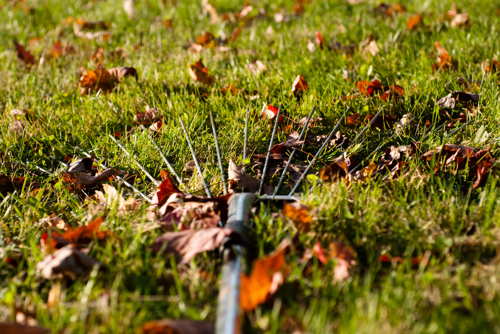 Spring Lawn Care Tips for Homeowners in Minneapolis, MN Lawnstarter