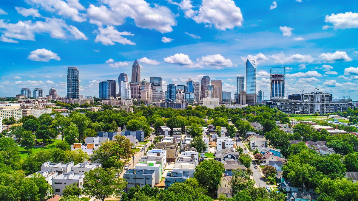 The best landscape trees for Charlotte