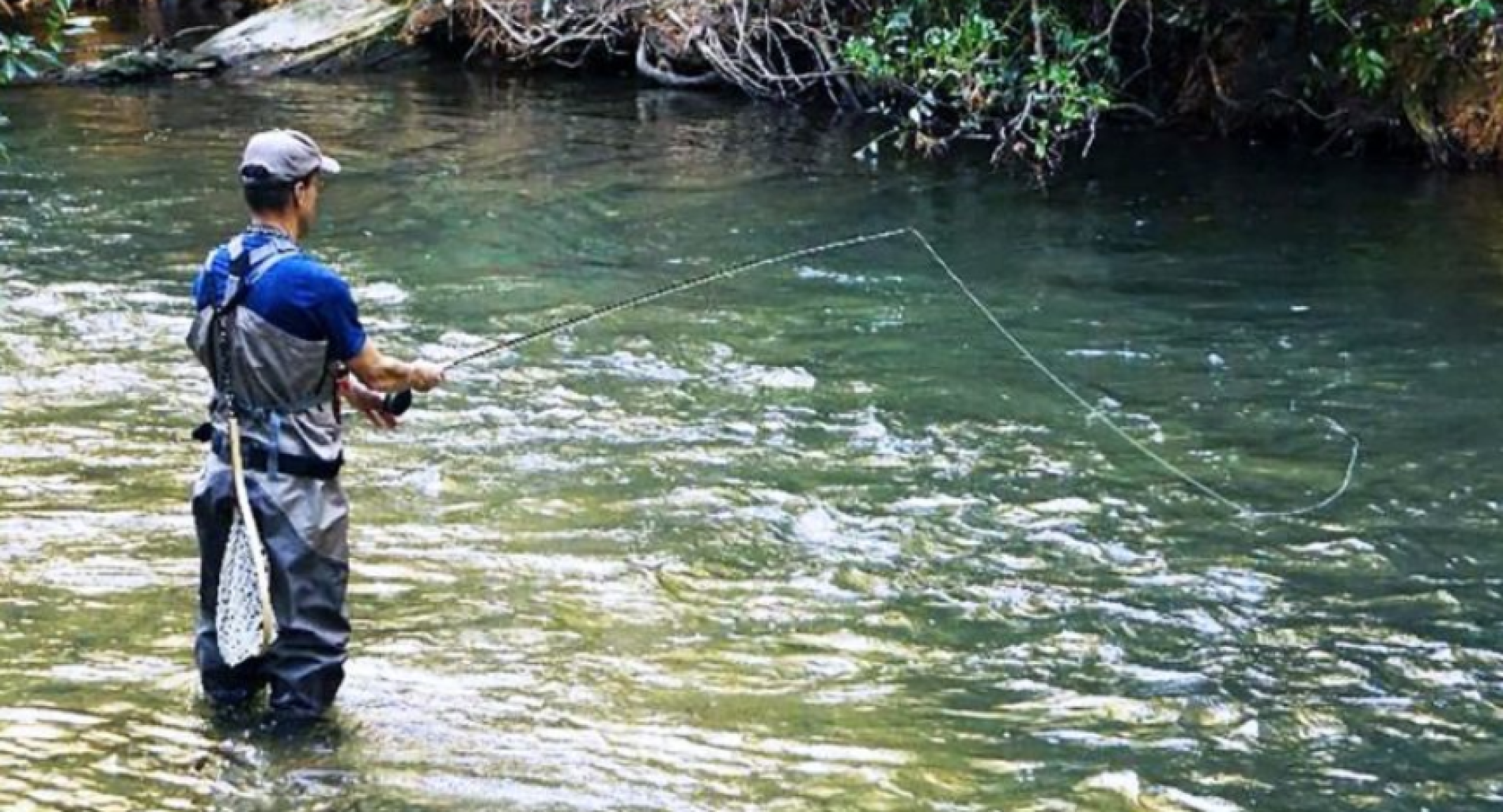 Soque River Lots For Sale Laws Realty