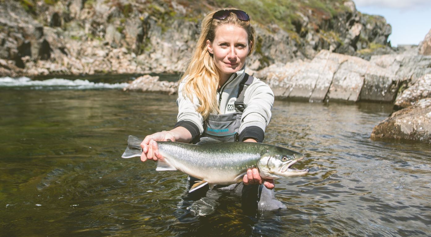 Greenland arctic char in 2018 — LaxA Angling club