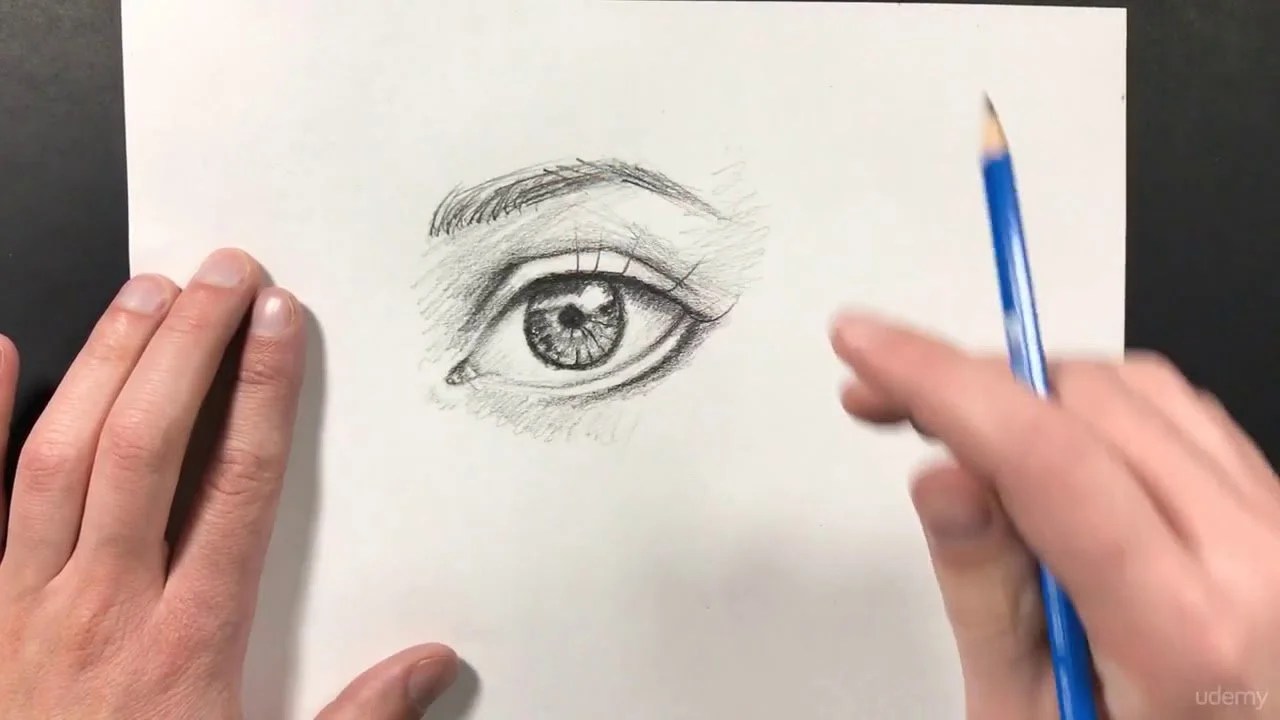 The Ultimate Drawing Course Beginner To Advanced Free Download / The ultimate drawing course