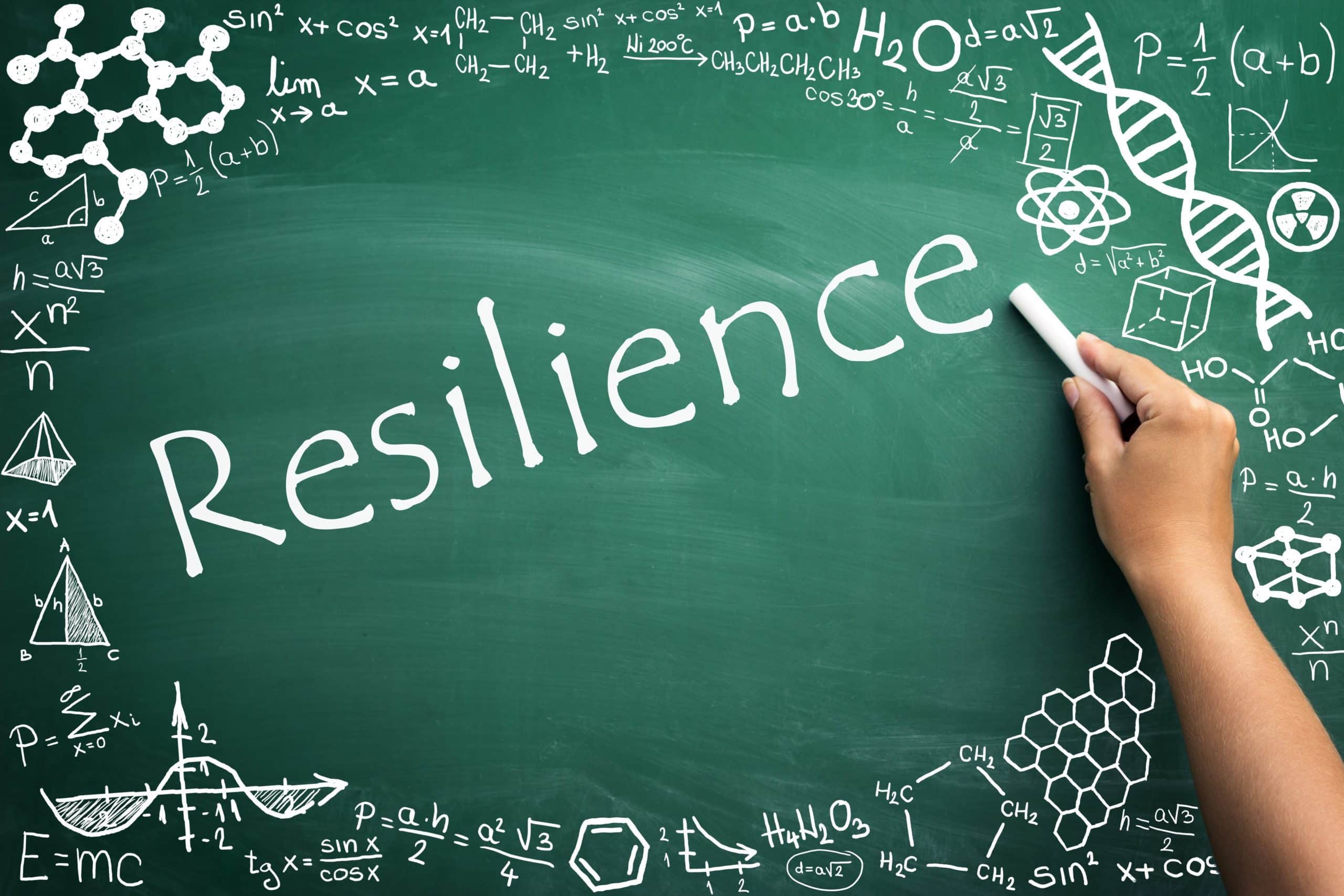 Resilience is More Than a Plan It is a Strategy LBL Strategies