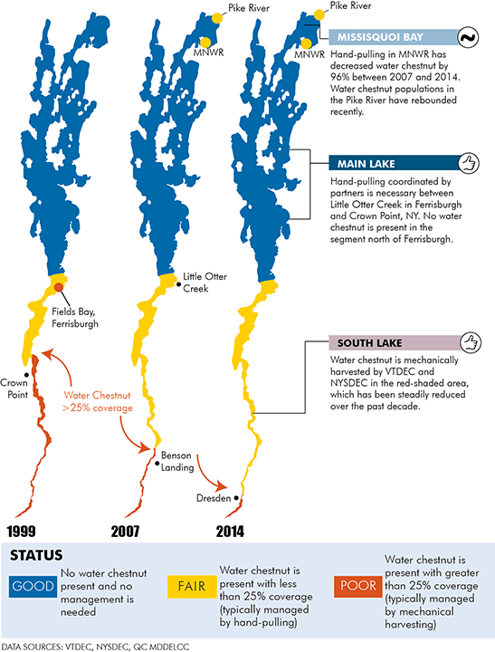 AIS in the Lake Lake Champlain Basin Program
