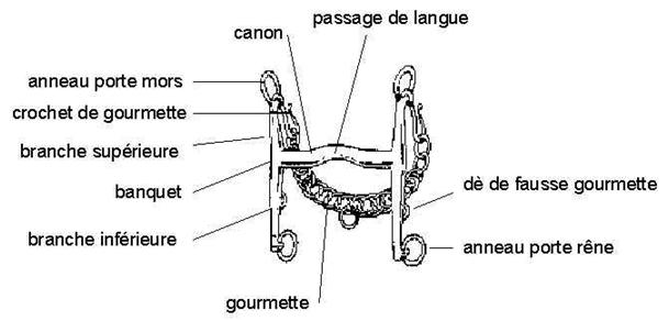 Le site Cheval La Bride Equitation Pédagogique et Ludique