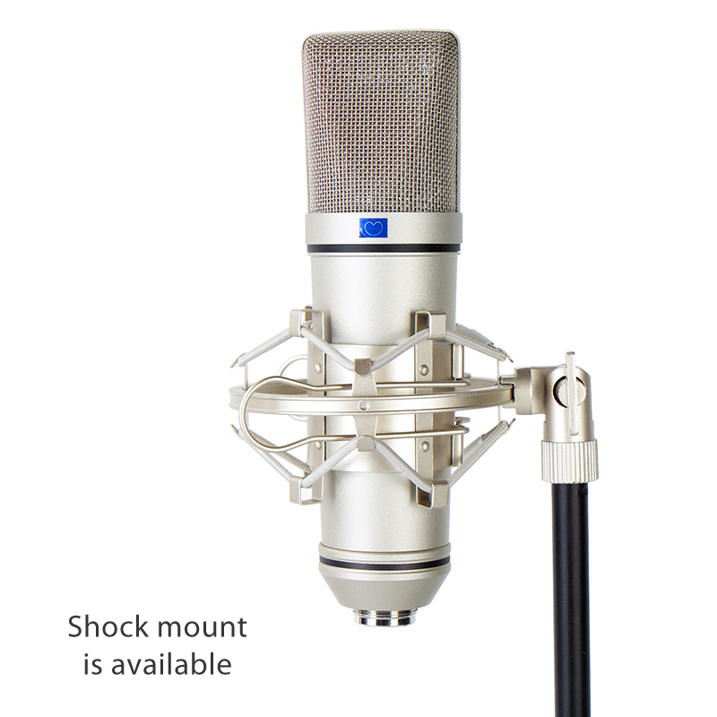 China Professional Recording microphone CM200 for studio Manufacturer