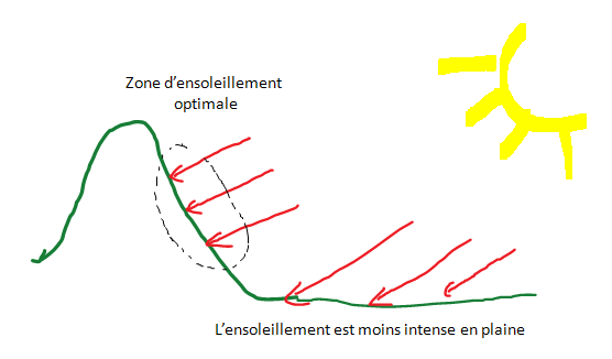 3 choses pour comprendre le lien entre le vin et le relief