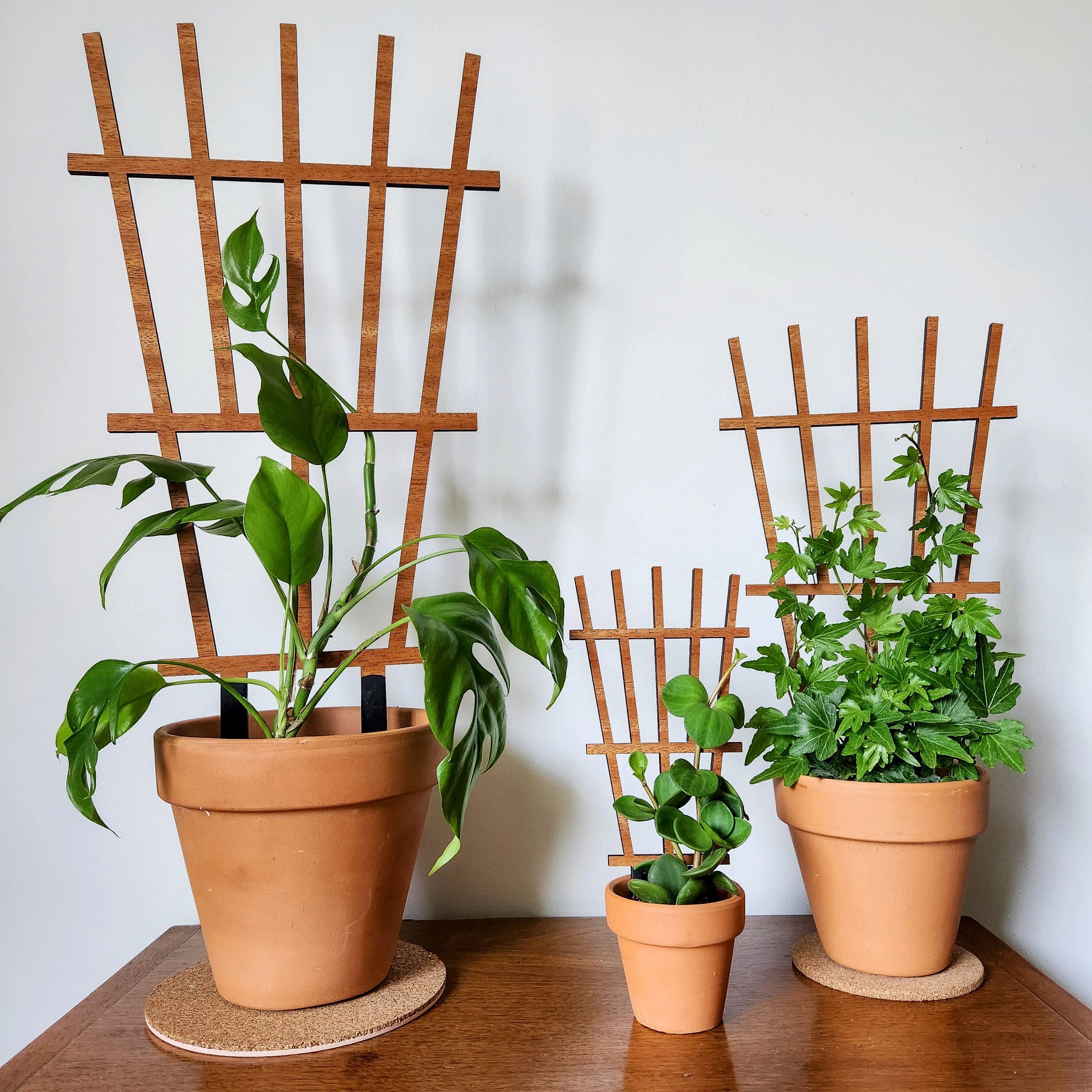 Indoor Plant Trellis Garden Style Design Plant Décor & Gift Shop