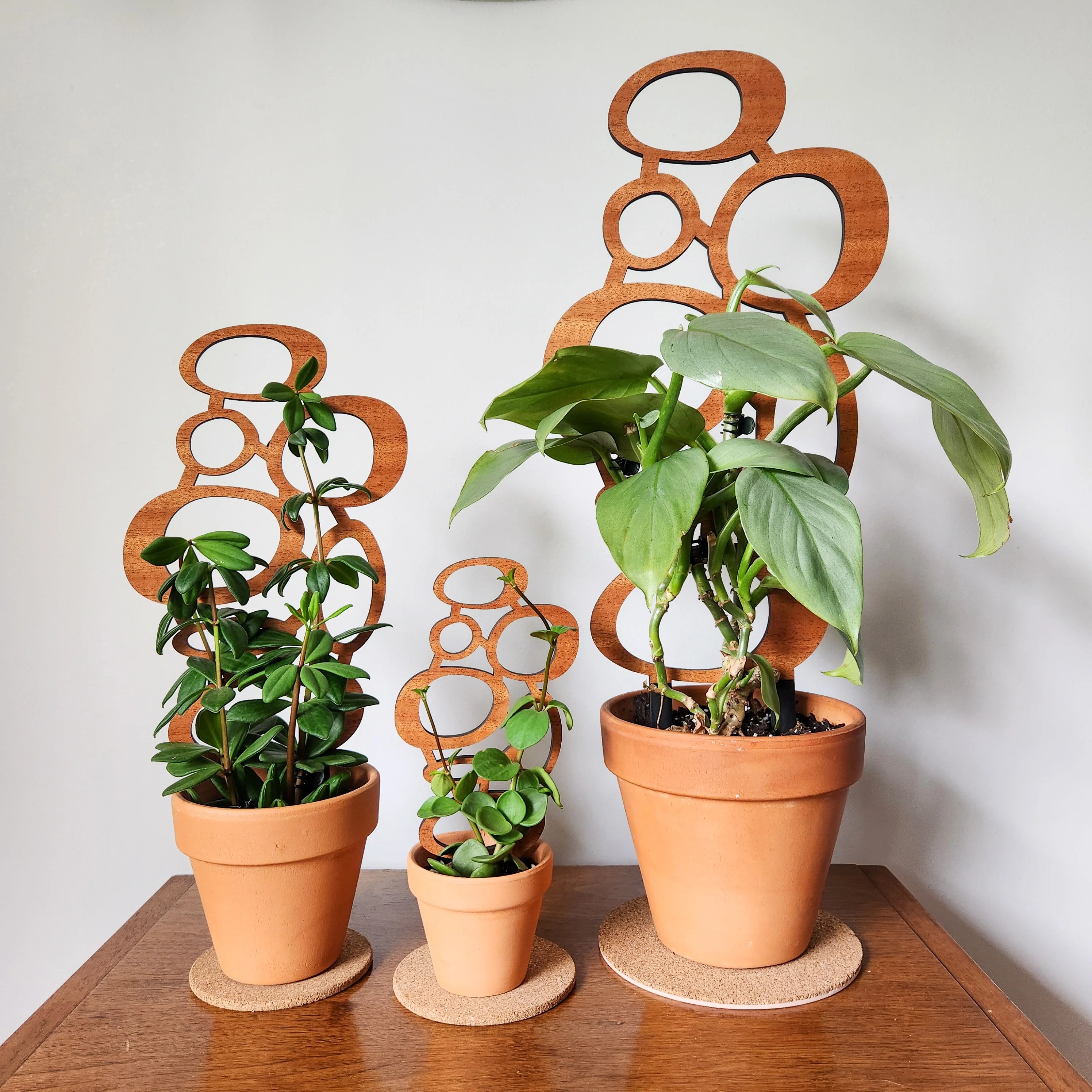 Indoor Plant Trellises Supports for Small Climbing Houseplants Leaf