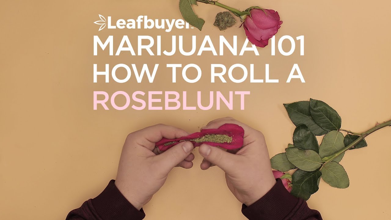 How to Roll a Rose Blunt Steps and Video Leafbuyer