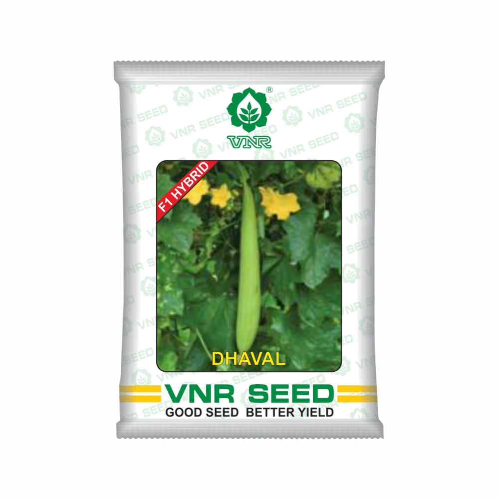 VNR Sponge Gourd dhaval hybrid (50 GM) LeafConAgro