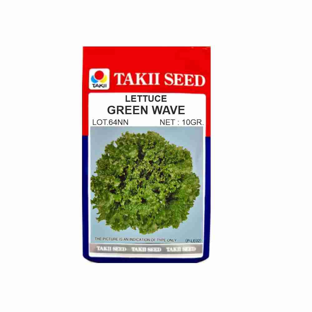 Hybrid Lettuce Green Wave Seeds (10 GM) LeafConAgro