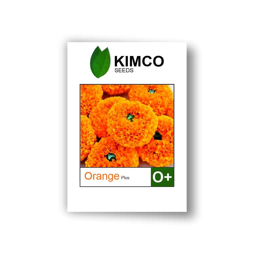 KIMCO MARIGOLD OMNI ORANGE PLUS (10000 SEEDS) LeafConAgro