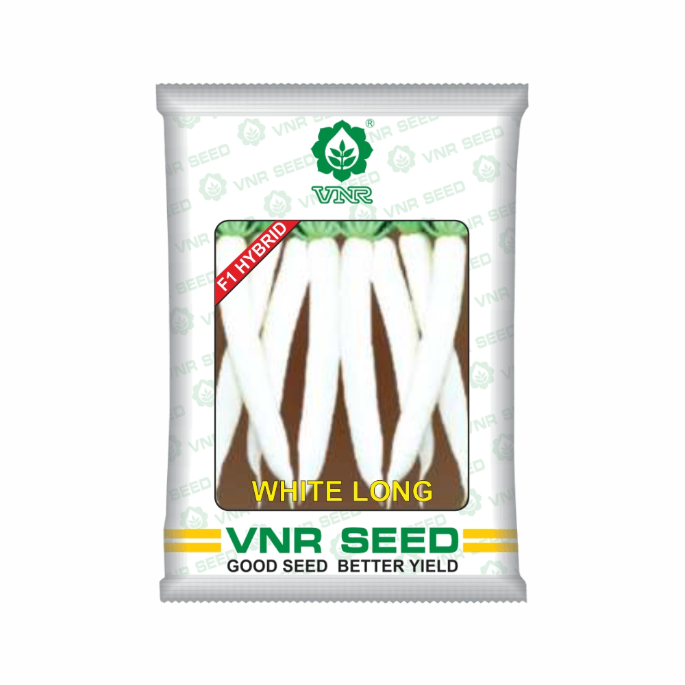 VNR Radish HYBRID white long (100 GM) LeafConAgro
