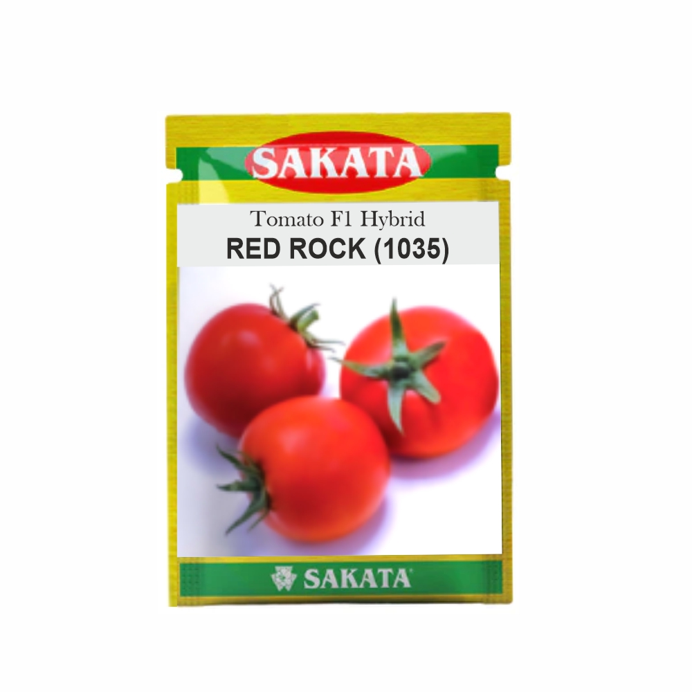 SAKATA TOMATO F1 HYBRID RED ROCK (1035) (2 GM) LeafConAgro