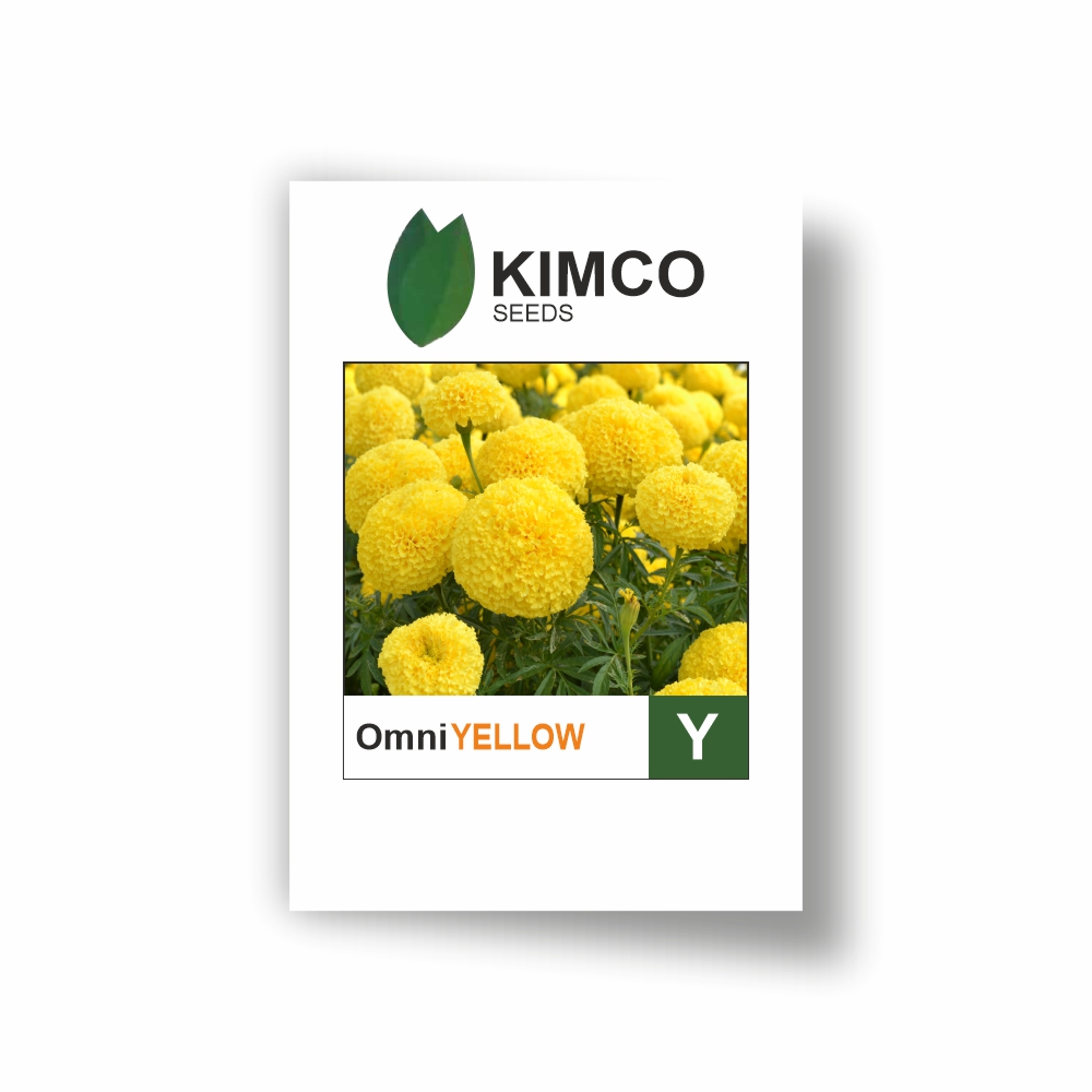 KIMCO MARIGOLD OMNI YELLOW PLUS (10000 SEEDS) LeafConAgro