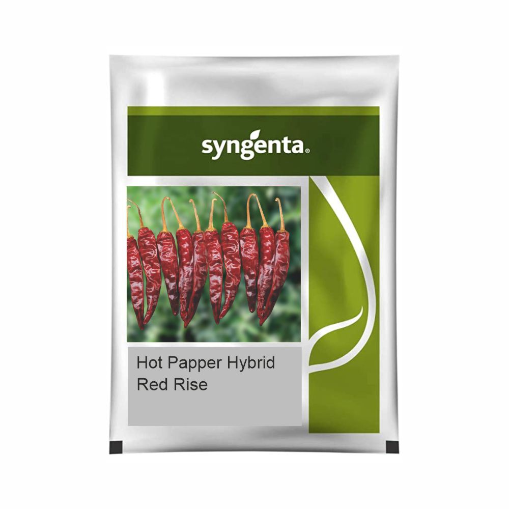SYNGENTA HOT PEPPER Red Rise (1500 SEEDS) LeafConAgro