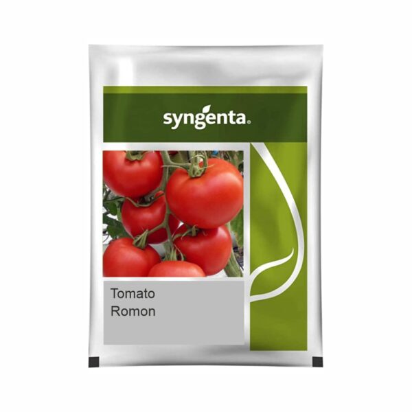 SYNGENTA TOMATO SAAHO TO3251 (3500 SEED) LeafConAgro