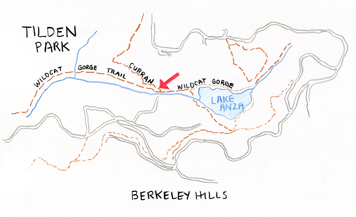Tiny Tilden Post Office Leafcutter Designs