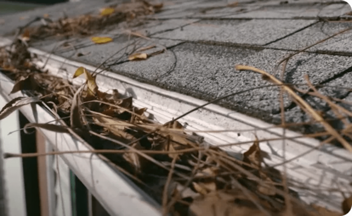 How Often Should You Clean Your Gutters? LeafFilter