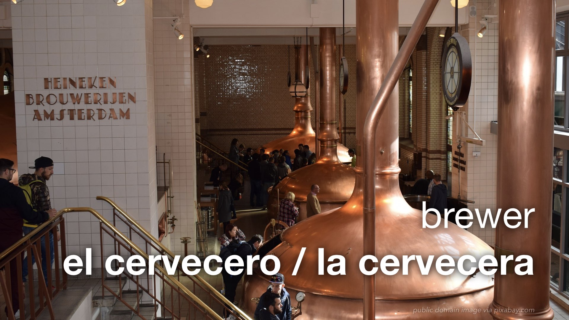 Spanish Vocabulary Culinary Professions and Titles The LEAF Project