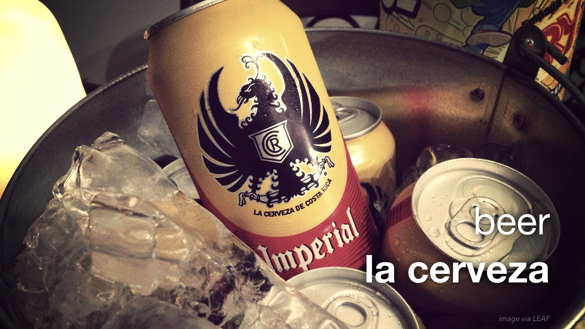 Spanish Vocabulary Food Drinks The LEAF Project