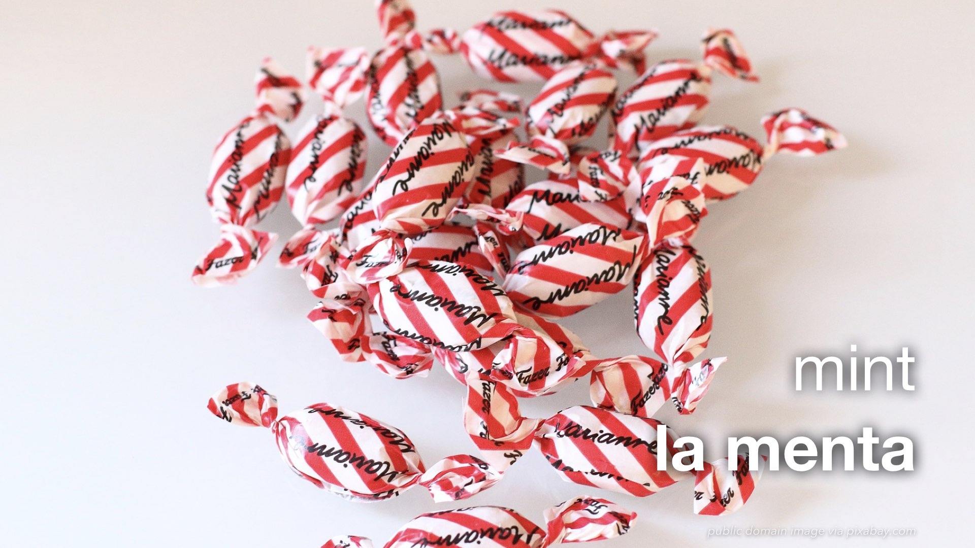 Spanish Vocabulary Food Snacks The LEAF Project