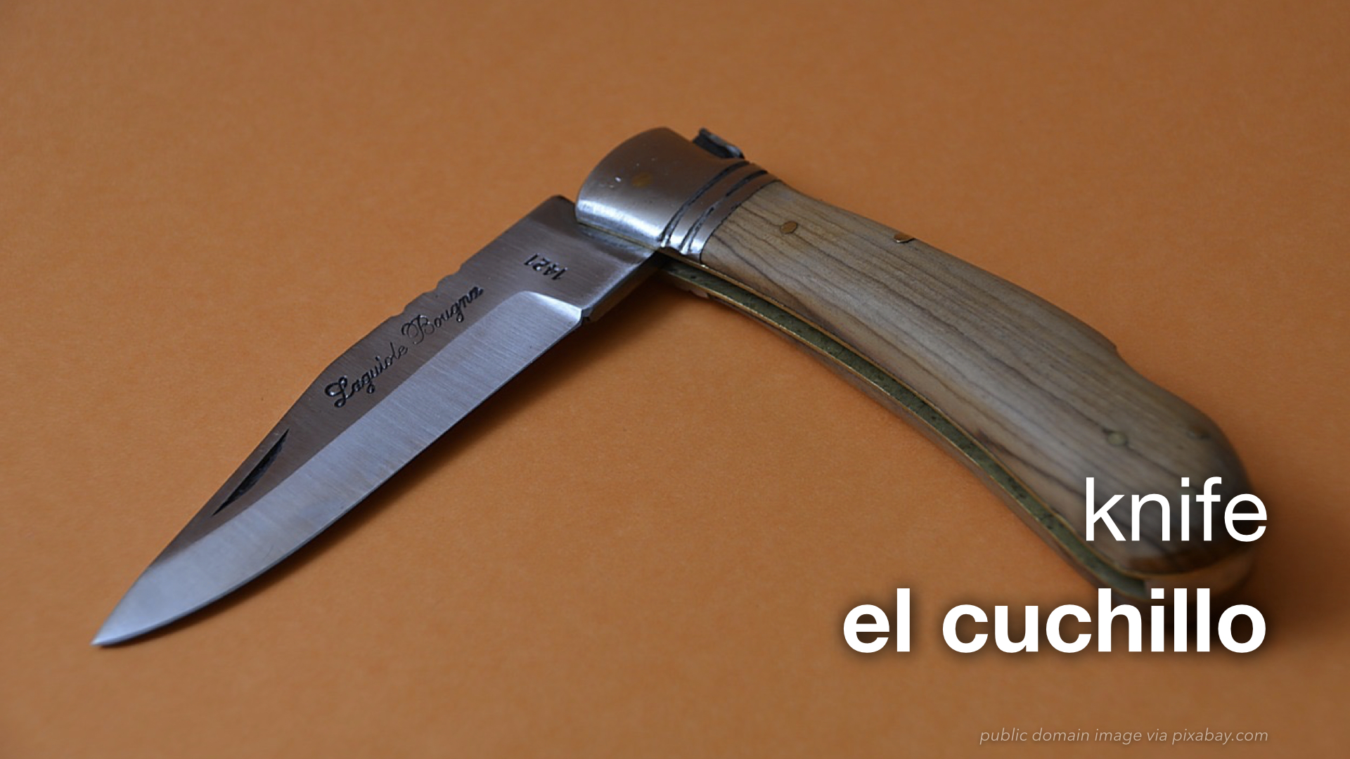 Spanish Vocabulary Law Enforcement Basics The LEAF Project