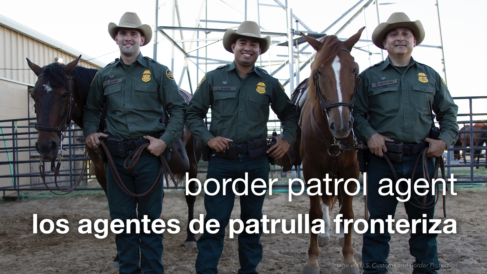 Spanish Vocabulary Law Enforcement Professions and Titles The LEAF