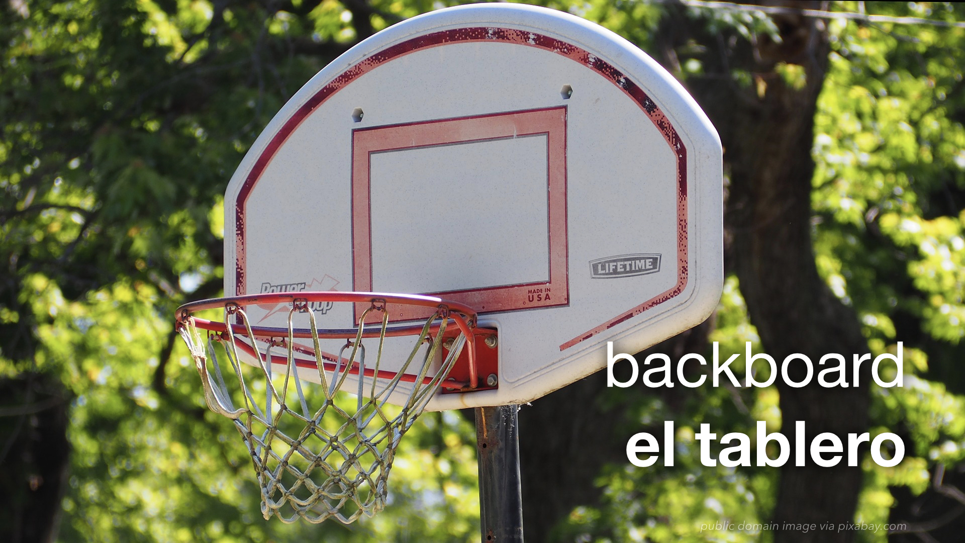Spanish Vocabulary Basketball The LEAF Project