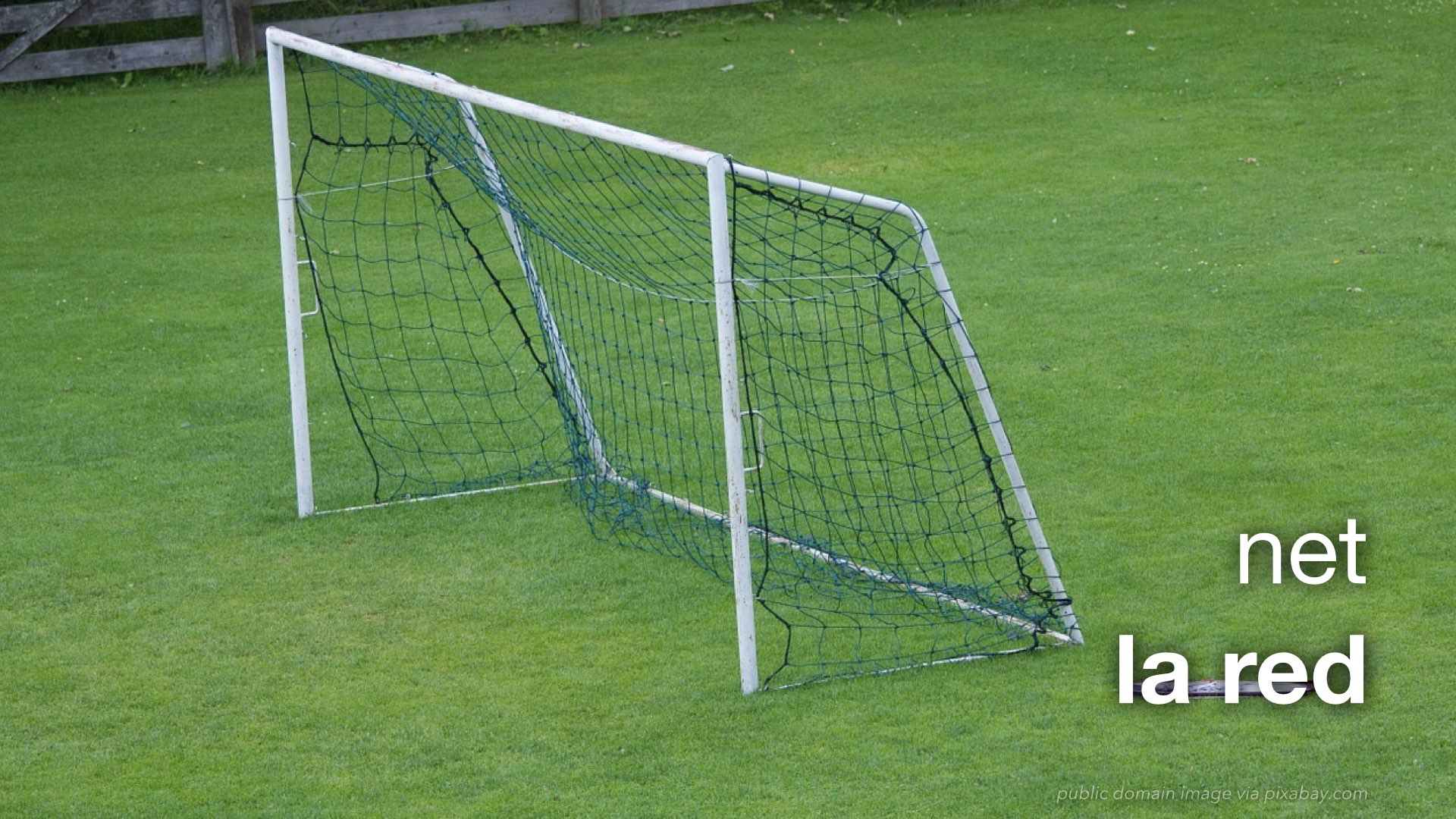 Spanish Vocabulary Soccer The LEAF Project