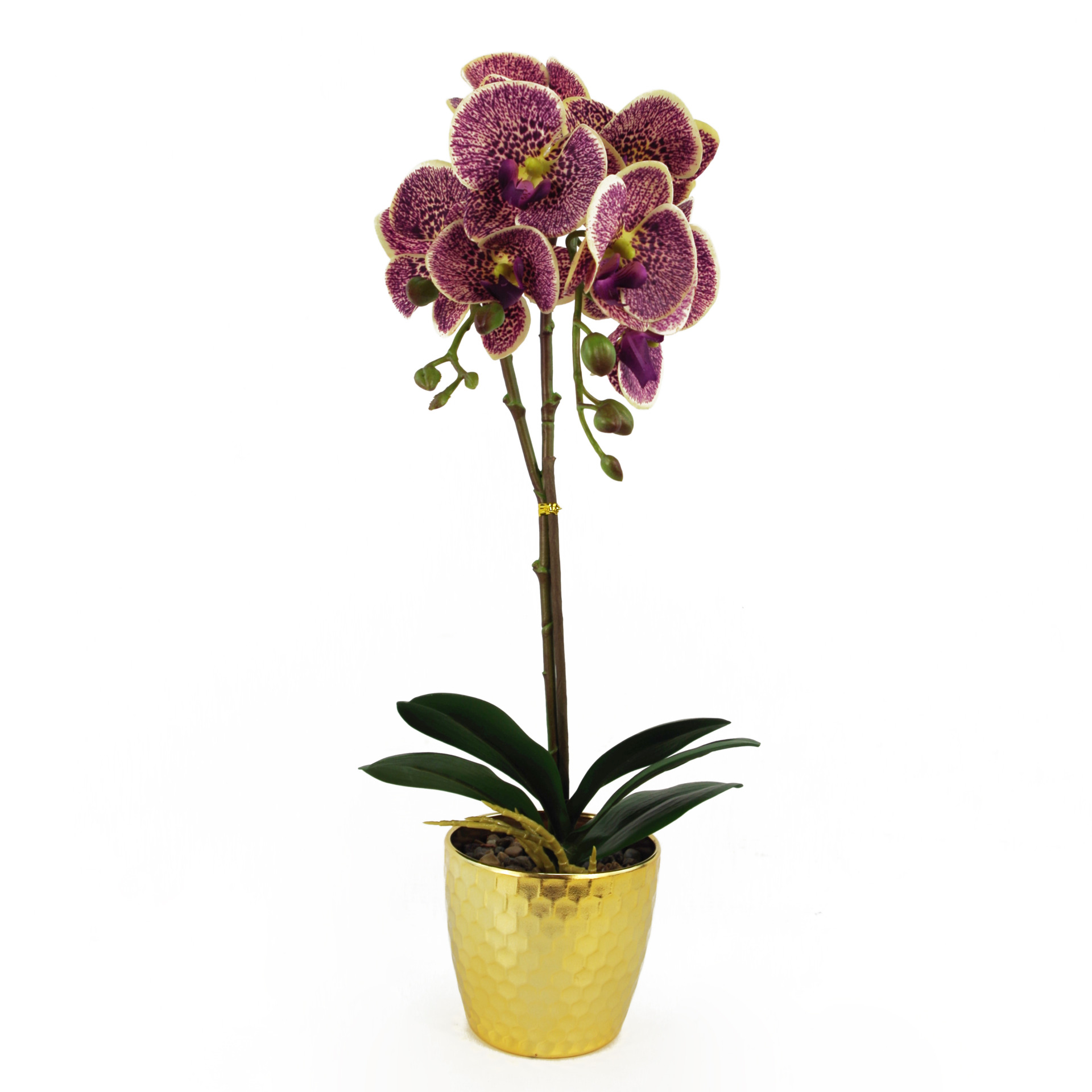 50cm Phalaenopsis Orchid Artificial Purple Leopard Gold Pot Leaf