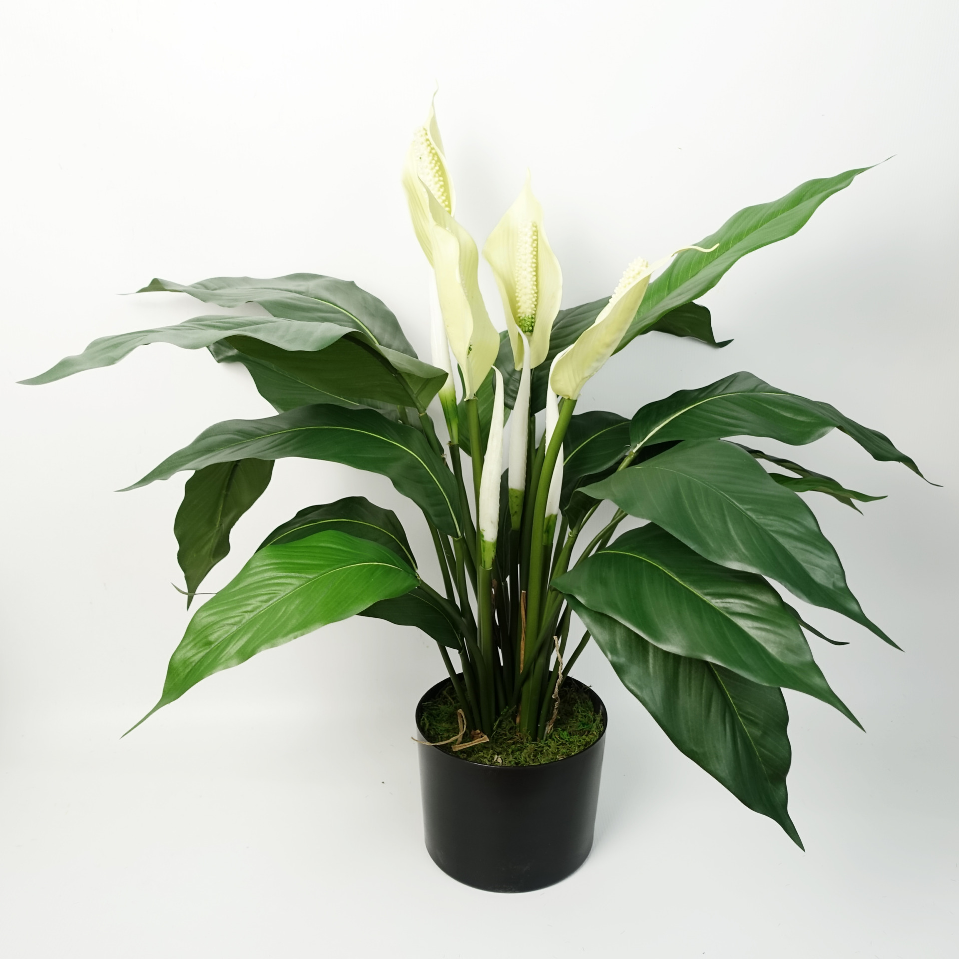 Artificial Peace Lily White Spathiphyllum Leaf Artificial Plants & Trees