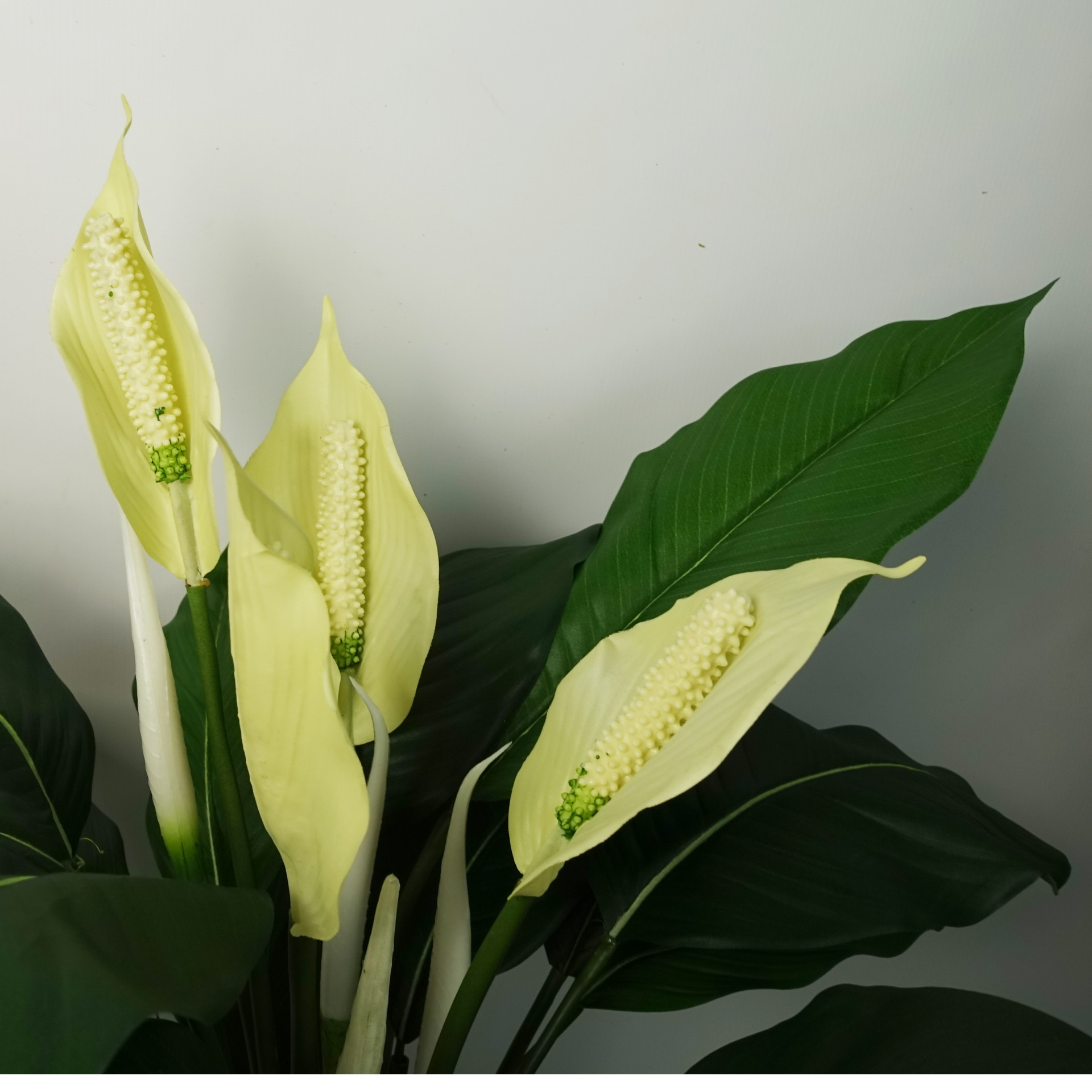 Artificial Peace Lily White Spathiphyllum Leaf Artificial Plants & Trees