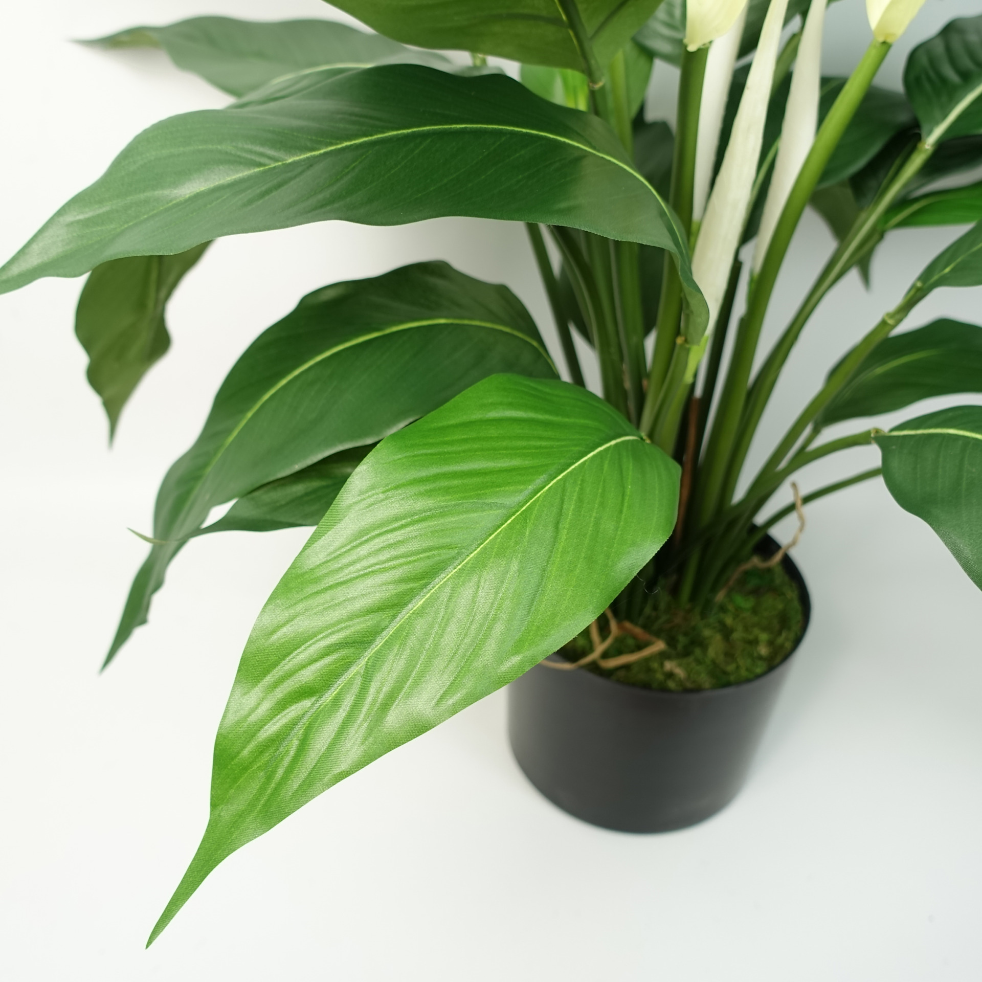 Artificial Peace Lily White Spathiphyllum Leaf Artificial Plants & Trees