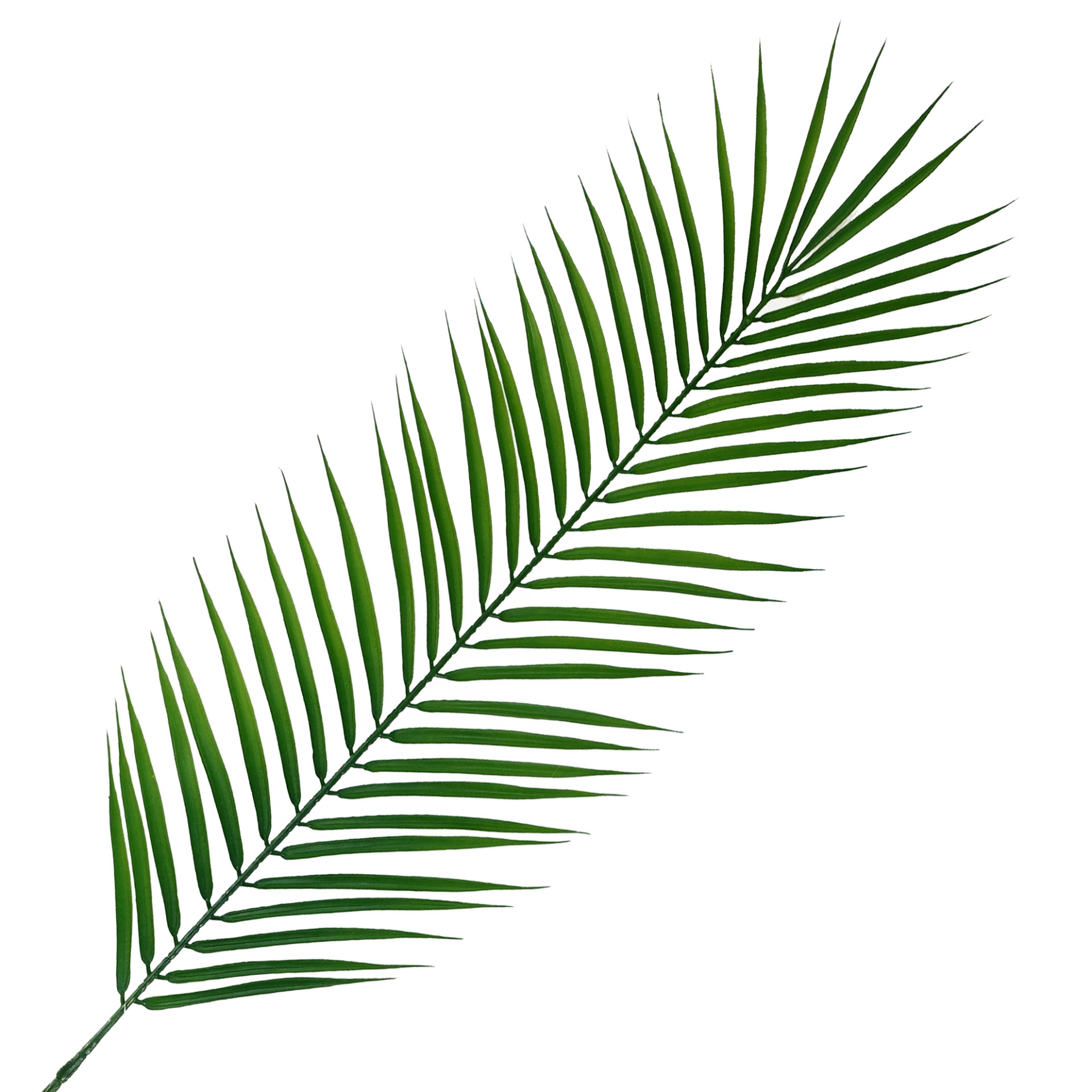 100cm Realistic Artificial Palm Leaf Leaf Artificial Plants & Trees