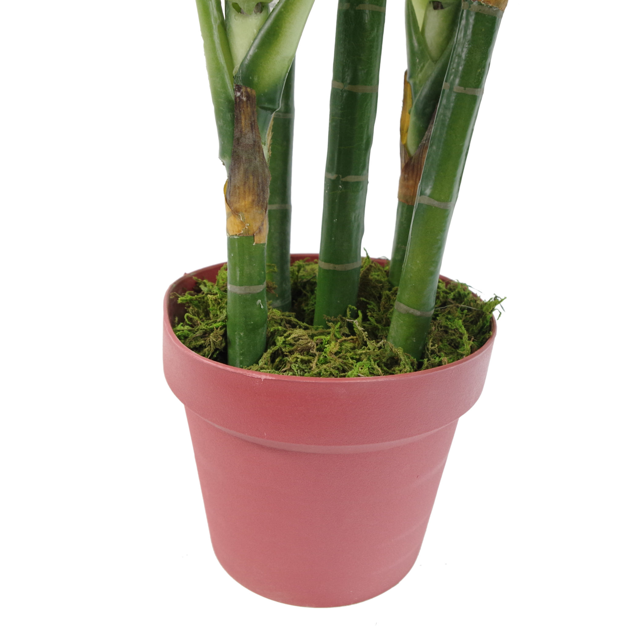 100cm Large Fox’s Aglaonema (Spotted Evergreen) Tree Artificial Plant