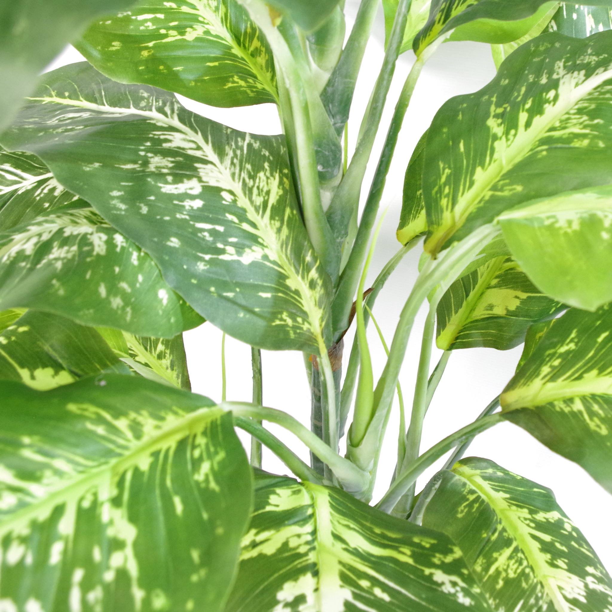 100cm Large Fox’s Aglaonema (Spotted Evergreen) Tree Artificial Plant