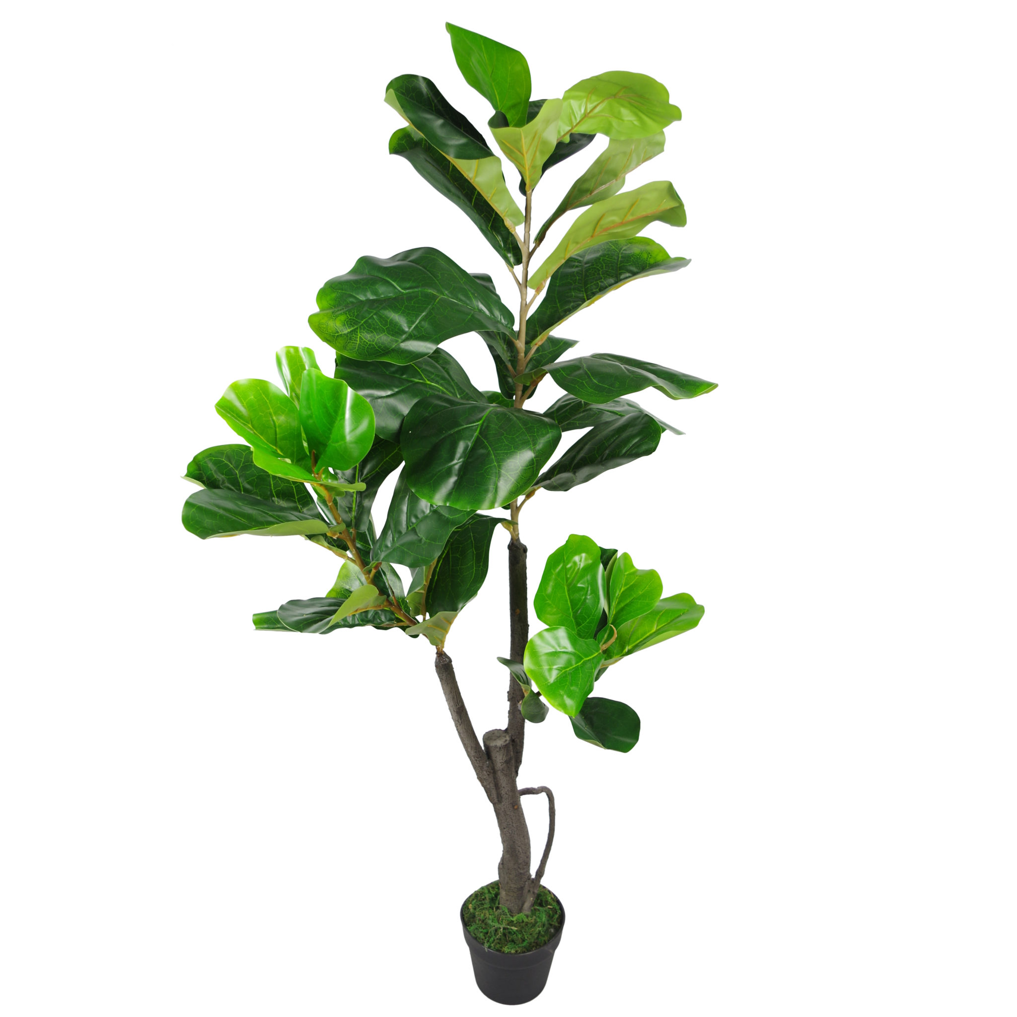 120cm (4ft) Large Artificial Fiddle Fig Tree Ficus Lyrata Plant Leaf
