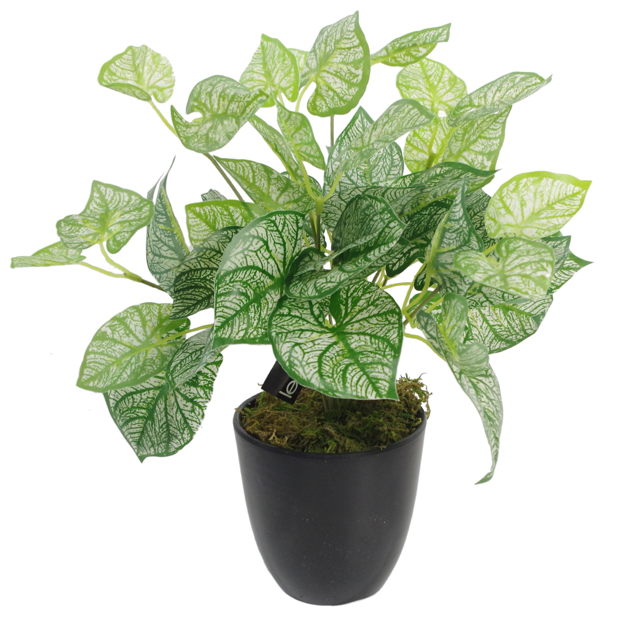40cm Artificial Caladium Plant with pot Leaf Artificial Plants & Trees
