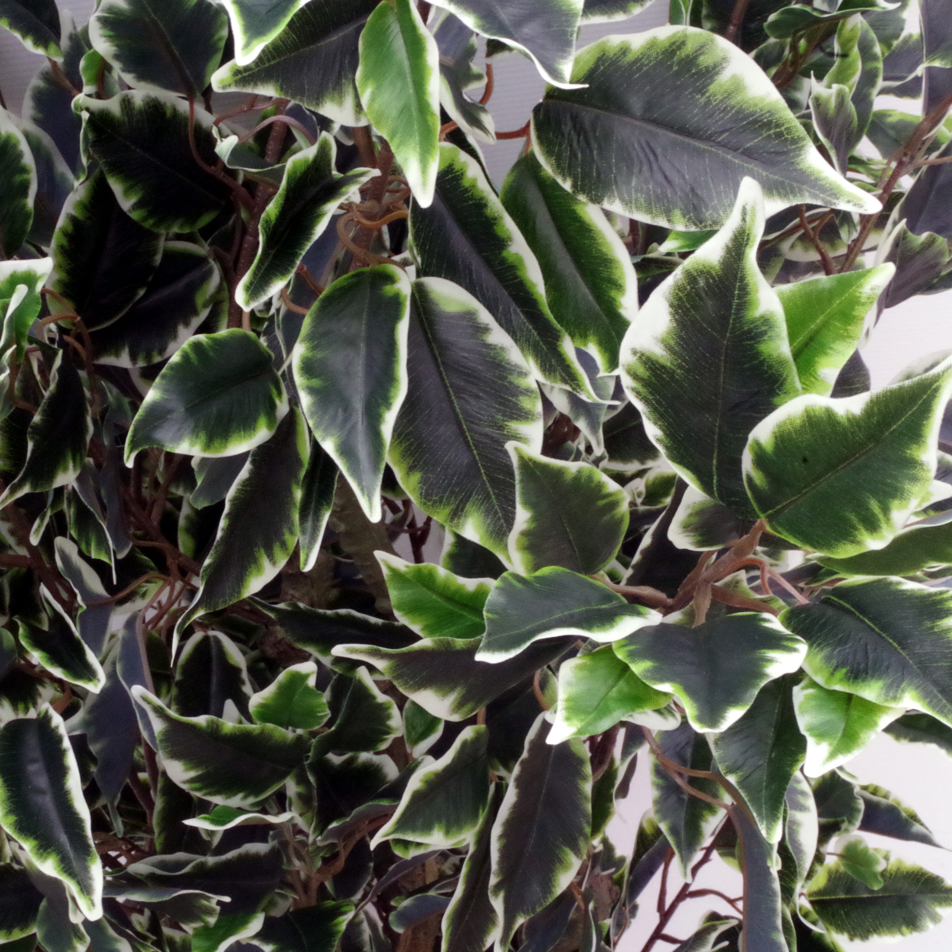 110cm Artificial Evergreen Ficus Tree Leaf Artificial Plants