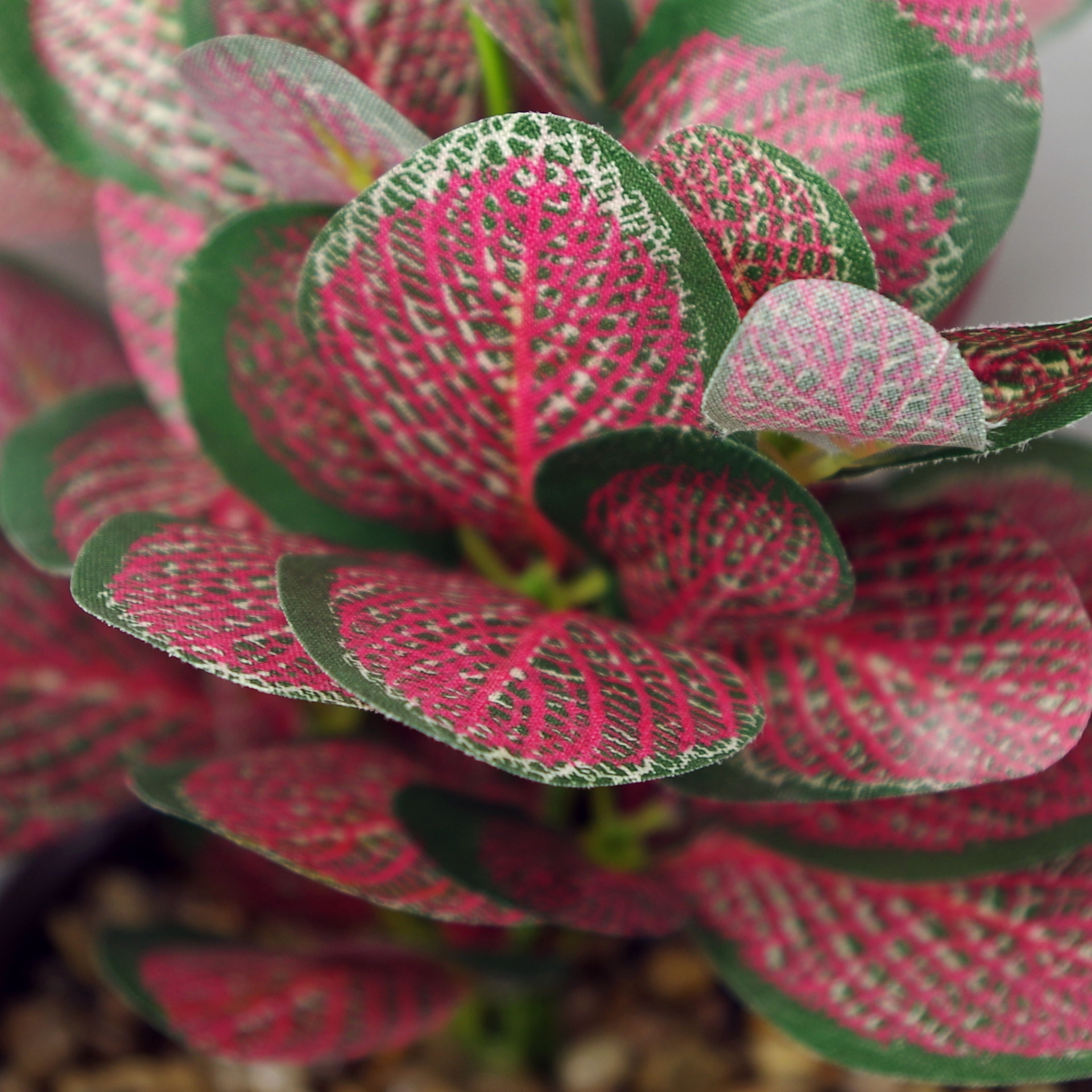 23cm Ceramic Tall Blue Planter with Artificial Red Mosaic Plant Leaf
