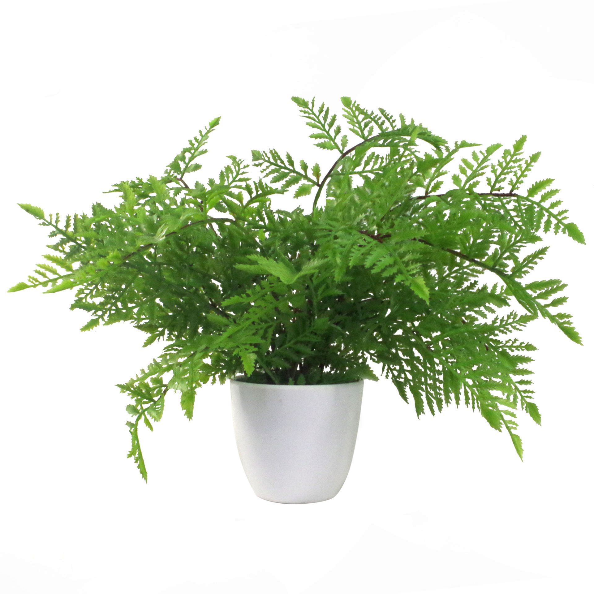 30cm Artificial Potted Southern Wood Fern Leaf Artificial Plants & Trees