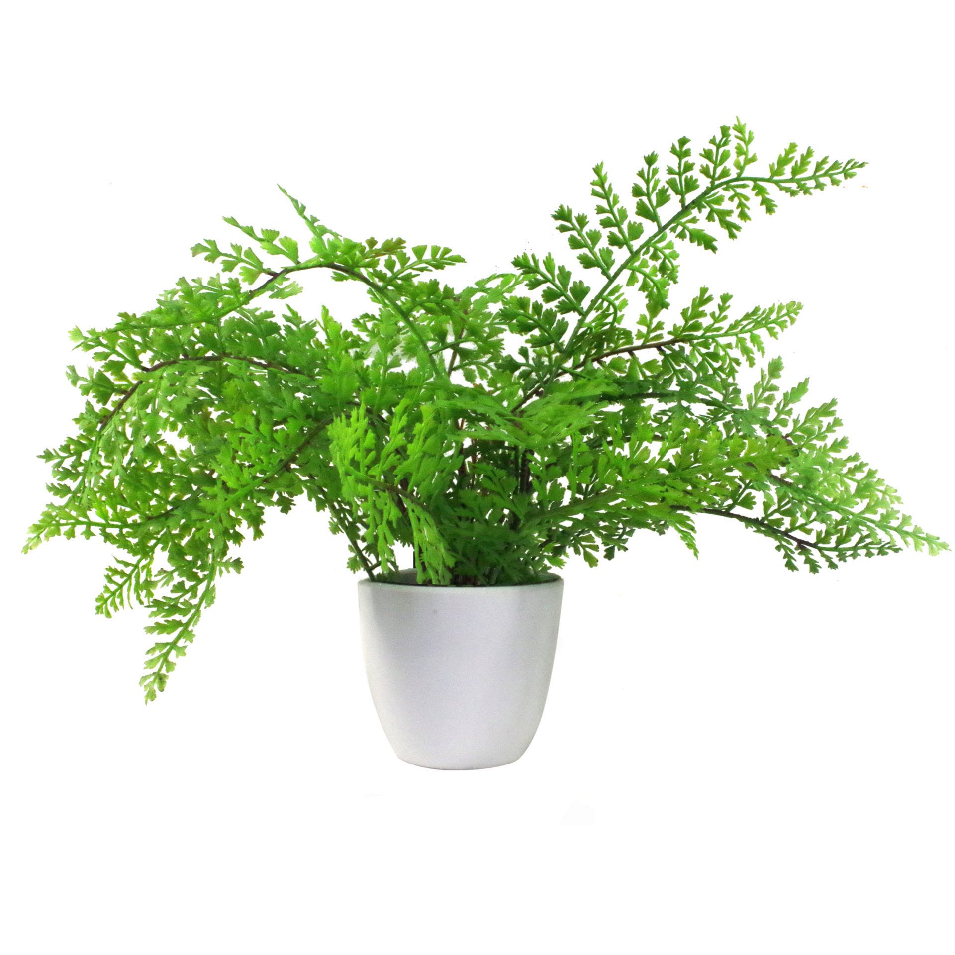 30cm Artificial Potted Royal Fern Leaf Artificial Plants & Trees