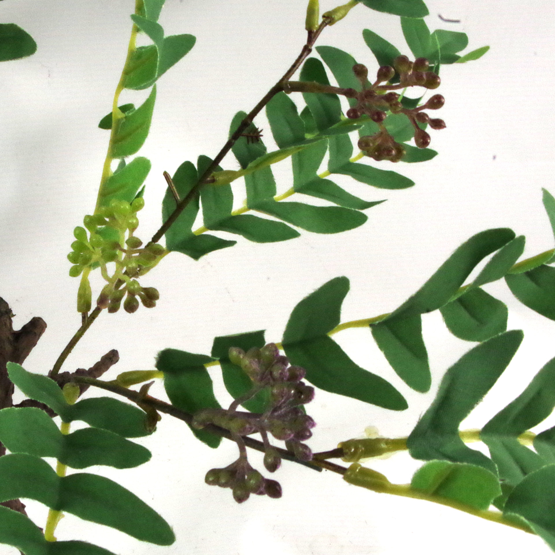 50cm Artificial Evergreen Foliage Plant with Berries Leaf Artificial