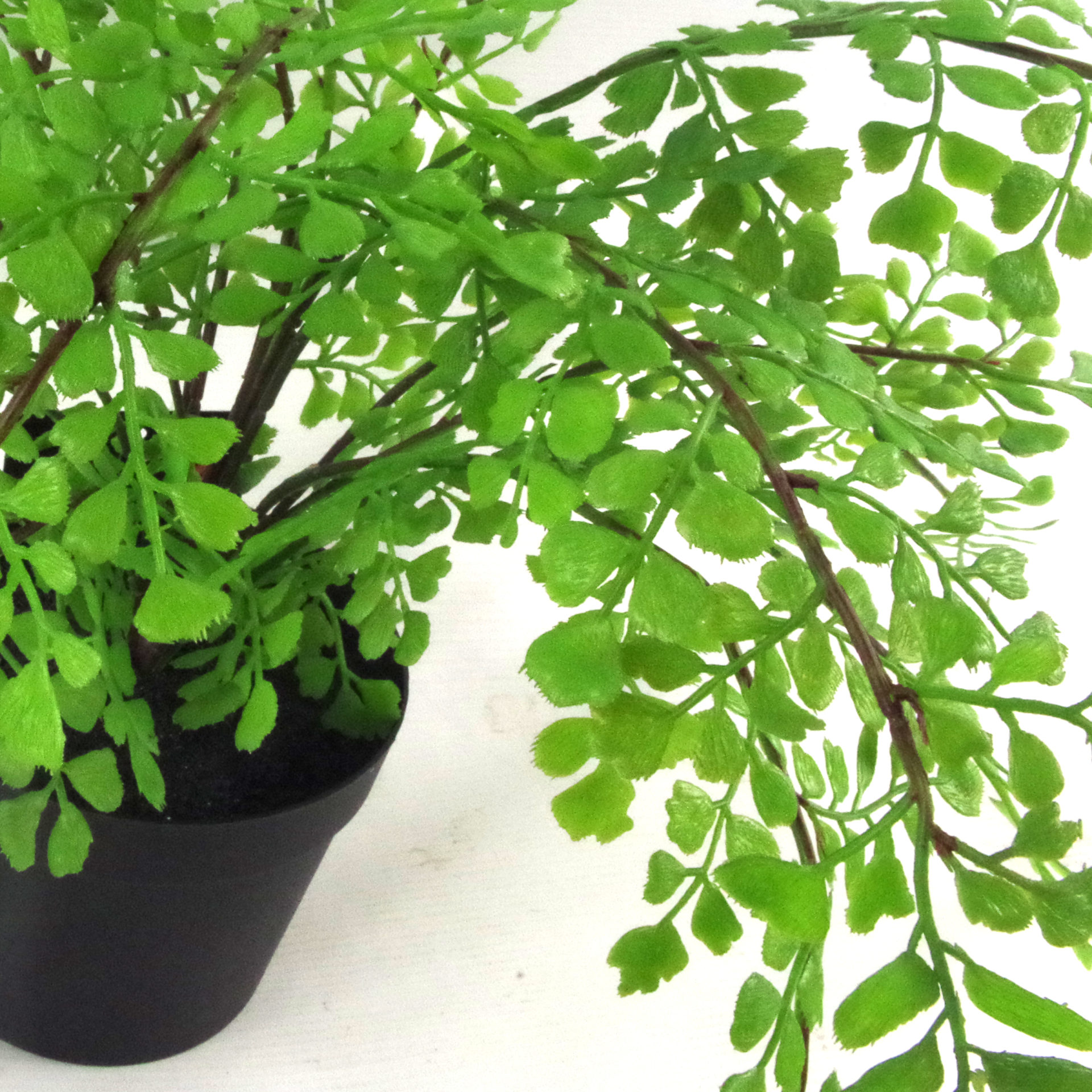 35cm Artificial Potted Fern Plant (Southern Maidenhair Fern) Leaf